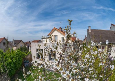 Photo fish eye prise en haut d'un cerisier en fleur